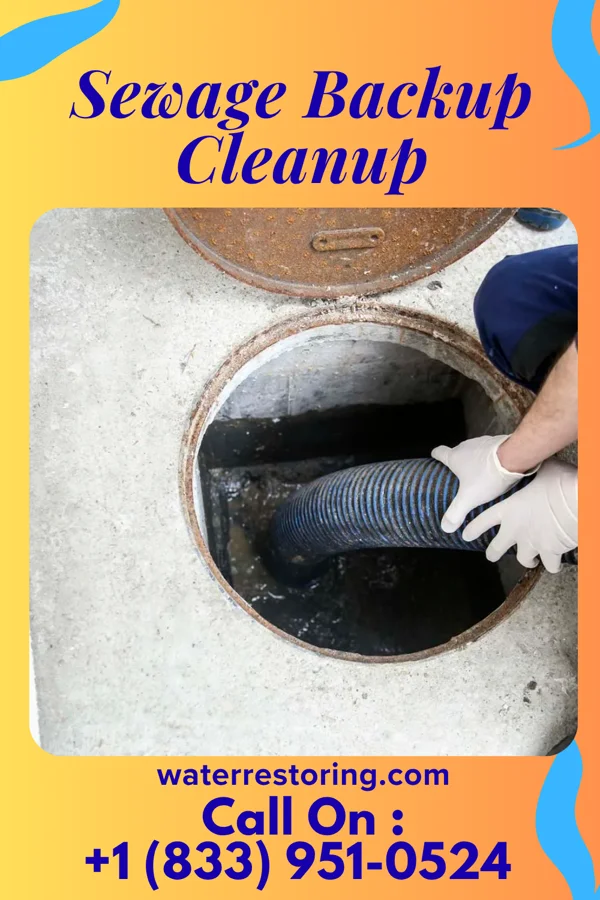 Sewage Backup Cleanup in Atwater, MN